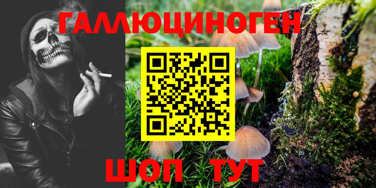 Псилоцибиновые грибы MAGIC MUSHROOMS  Вход с VPN  Усть-Джегута  Галлюциногенные грибы Magic Shrooms 