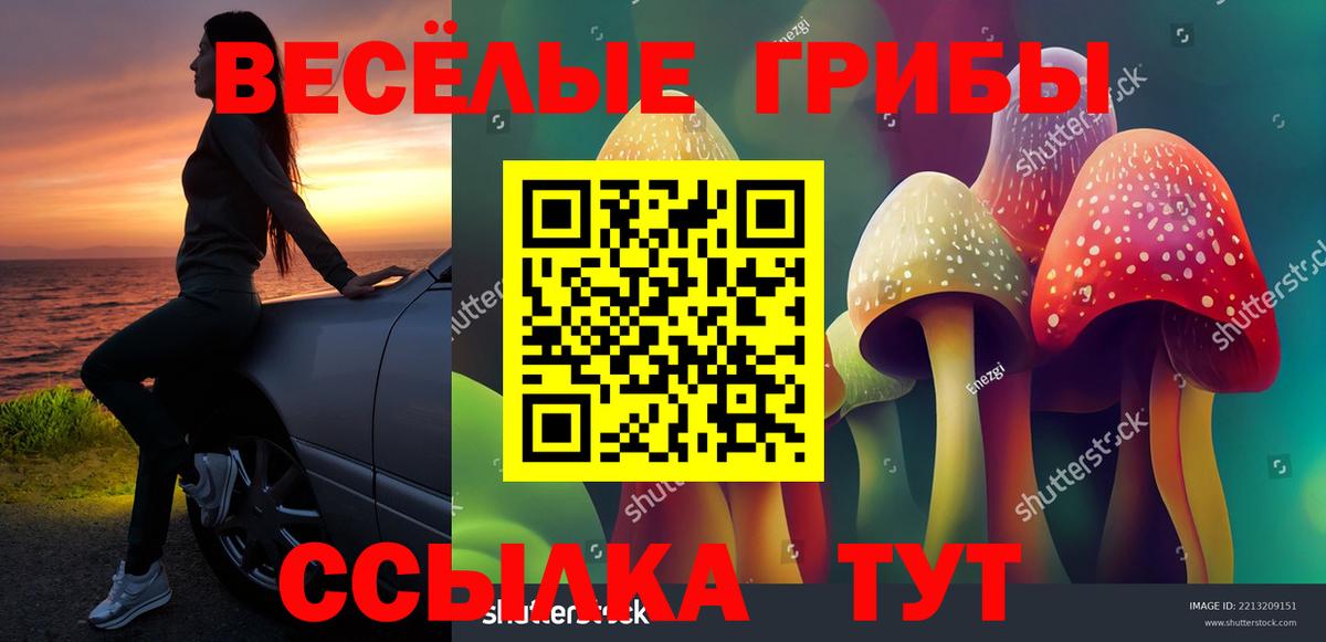 Галлюциногенные грибы мицелий Усть-Джегута